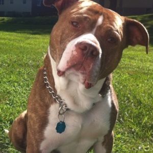 Meet your Posher, Jose